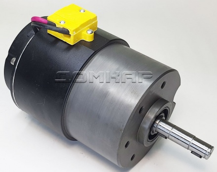 Электродвигатель Z130D650-24A1-26.5S